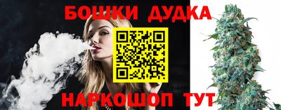 гидра Можга