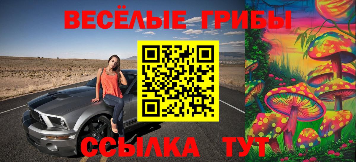 Славгород  Галлюциногенные грибы Cubensis  Псилоцибиновые грибы мухоморы  Вход с VPN 